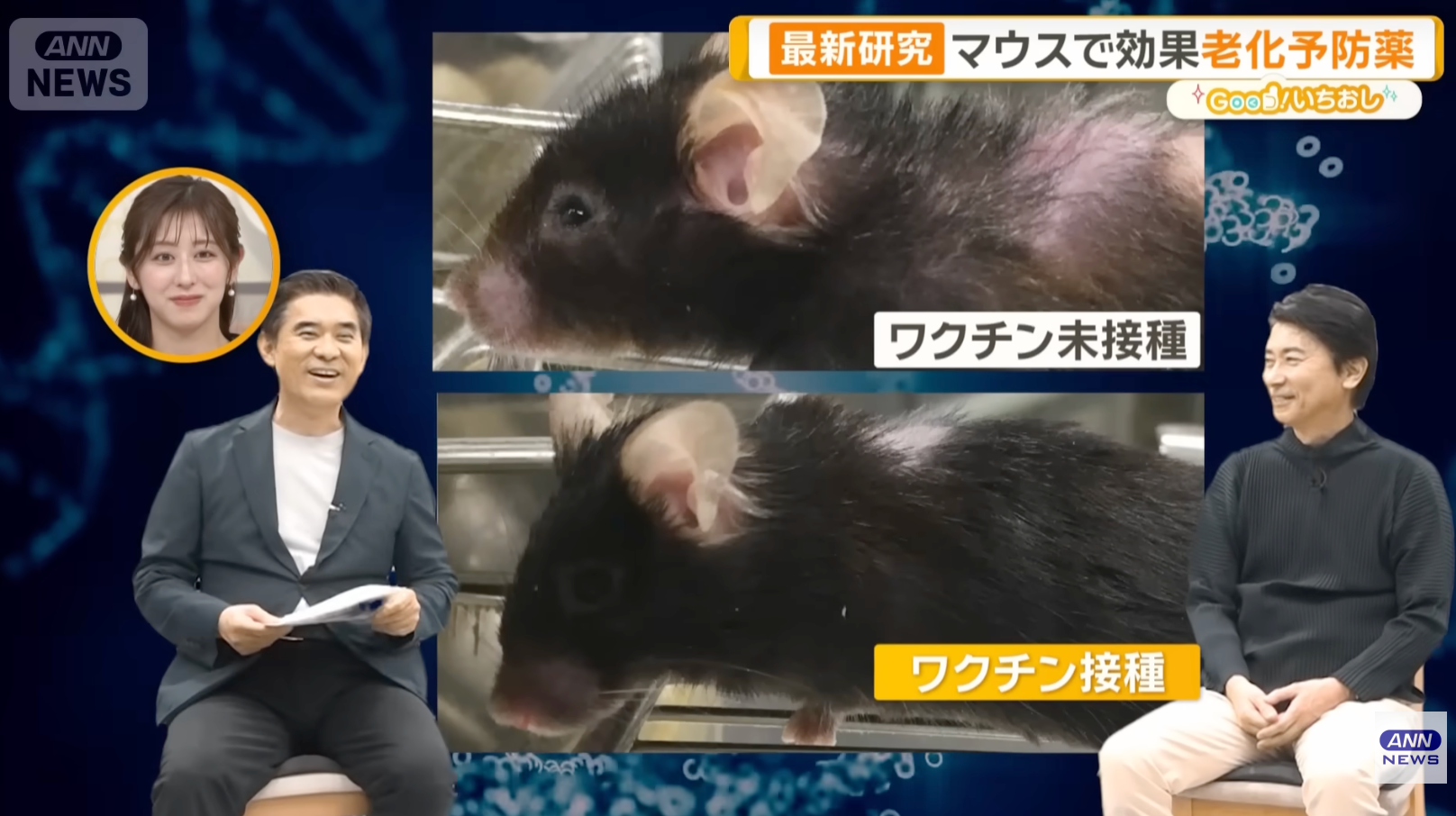 2c8609c2377ca4de4e9e6ab44561fdfb-1776215093.png 2c8609c2377ca4de4e9e6ab44561fdfb-1776215093.png